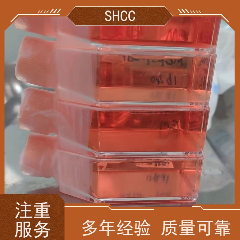(ExCell) 南美胎牛血清（优级）FSP500 细胞培养