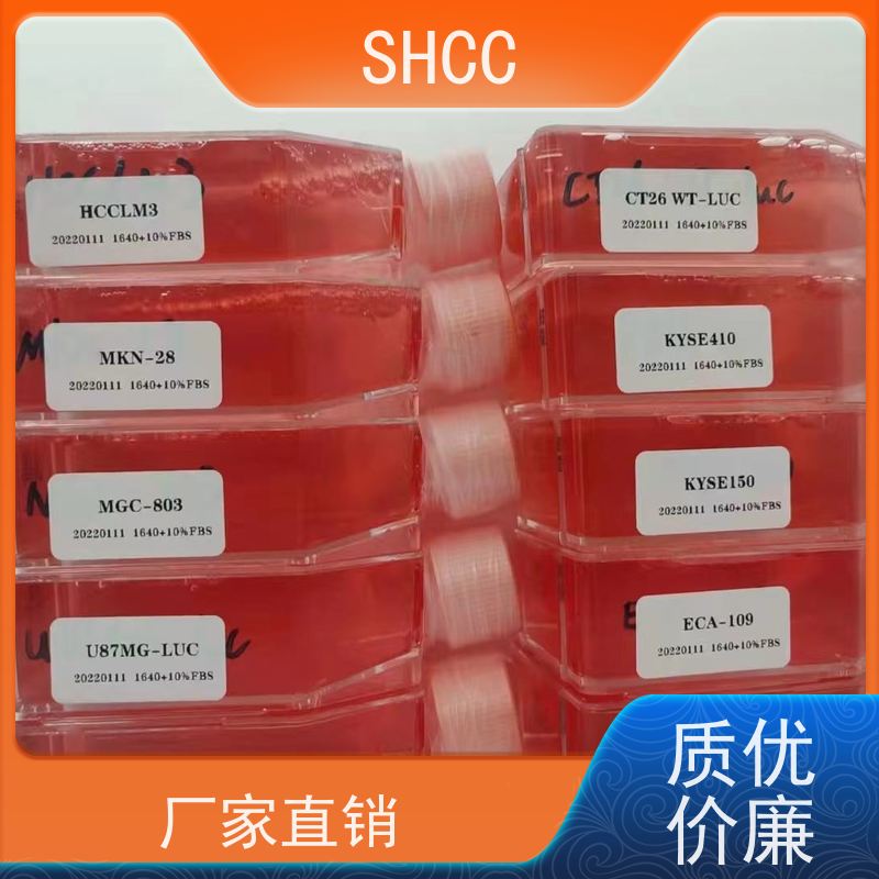 大鼠特异生长因子(TGSF)酶免检测试剂盒中/英说明书