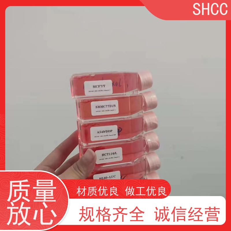 原厂 全国包邮 大鼠胚肌细胞 已通过STR鉴定提供报告 代数低 活性高