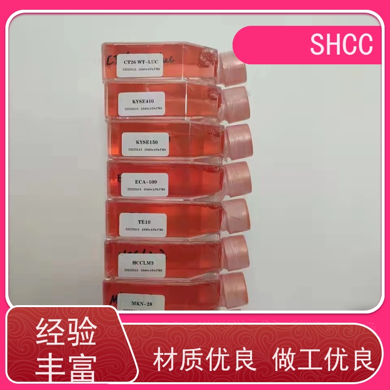 外泌体提取分离试剂盒|Quick exosome isolation kit