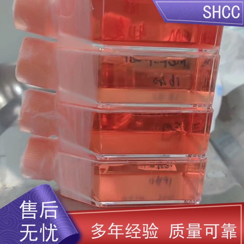 大鼠外泌体(Exosome)Elisa试剂盒 灵敏度高 免费代测