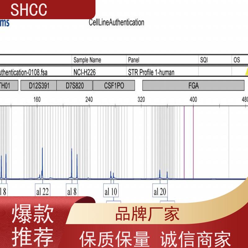 原厂 全国包邮 小鼠脑微血管内皮细胞株 代数低 活性高