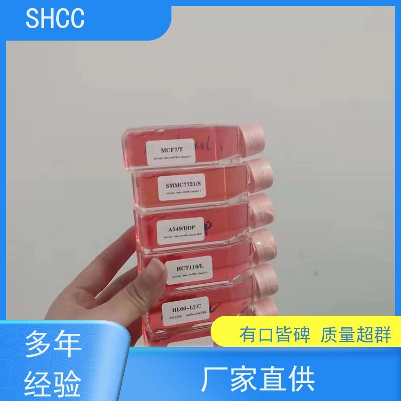 小鼠血管内皮细胞生长因子受体2检测试剂盒