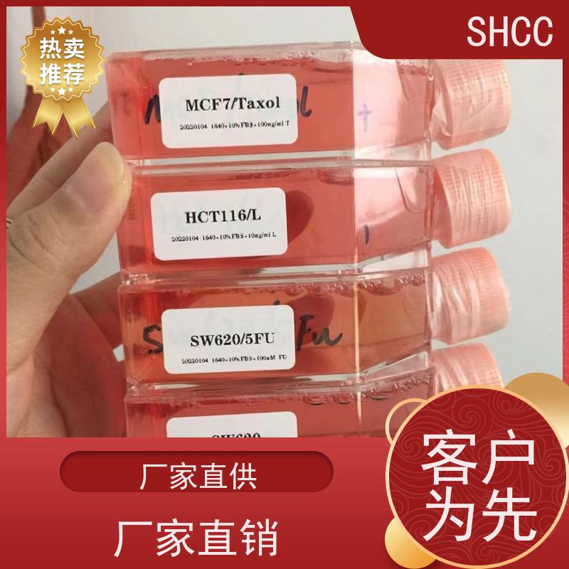 原厂 全国包邮 小鼠脑微血管内皮细胞株 代数低 活性高