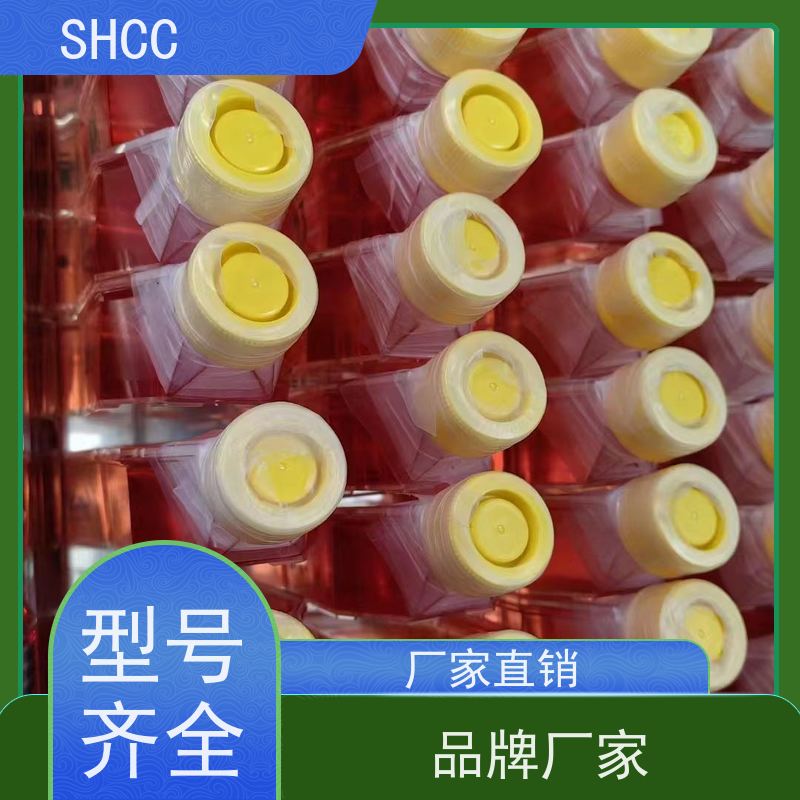 exosome 分离纯化试剂盒能高效提取外泌体 并提供鉴定服务