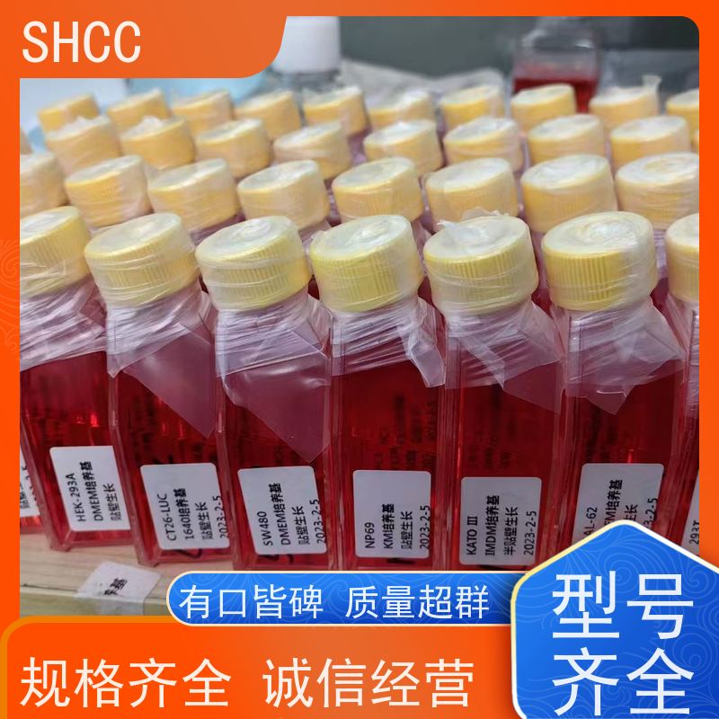  RD细胞完全培养液(含血清等) 生物制药 源头厂家