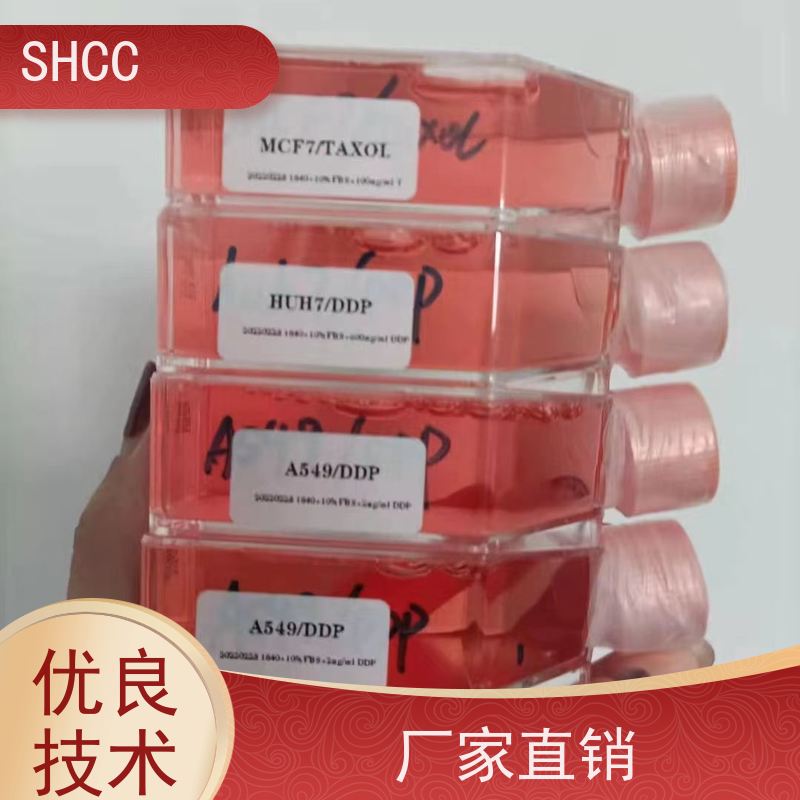 原厂 全国包邮 小鼠杂交瘤（抗CD2）细胞 代数低 活性高