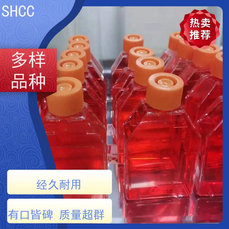 原厂 全国包邮 猫肾细胞 已通过STR鉴定提供报告 代数低 活性高