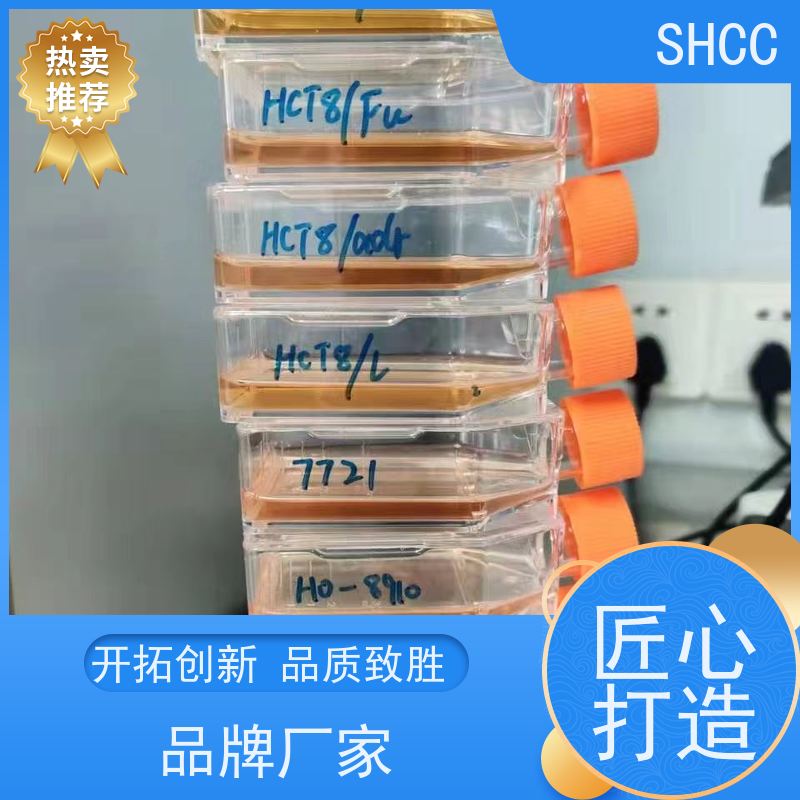 原厂 全国包邮 犬肾细胞 已通过STR鉴定提供报告 代数低 活性高