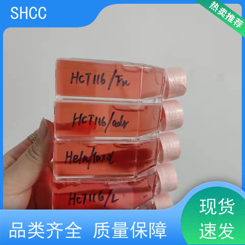原厂 全国包邮 小鼠皮肤成纤维细胞永生化 C57 代数低 活性高