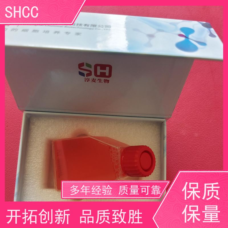 奥秘佳得 OMIGET品牌 外泌体蛋白提取试剂盒（4×）实验室用