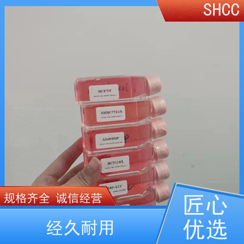原厂 全国包邮 斑马鱼细胞 已通过STR鉴定提供报告 代数低 活性高