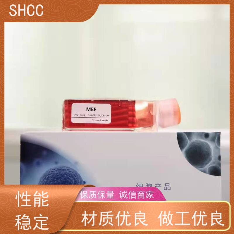 胎牛血清(细胞培养验证通过）上海现货