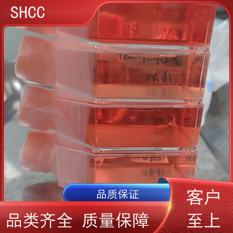 特级胎牛血清500ml科研现货保质期5年