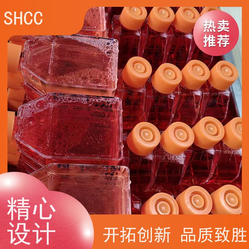 顶沃生物384102优级胎牛血清 科研实验用品 优质细胞培养