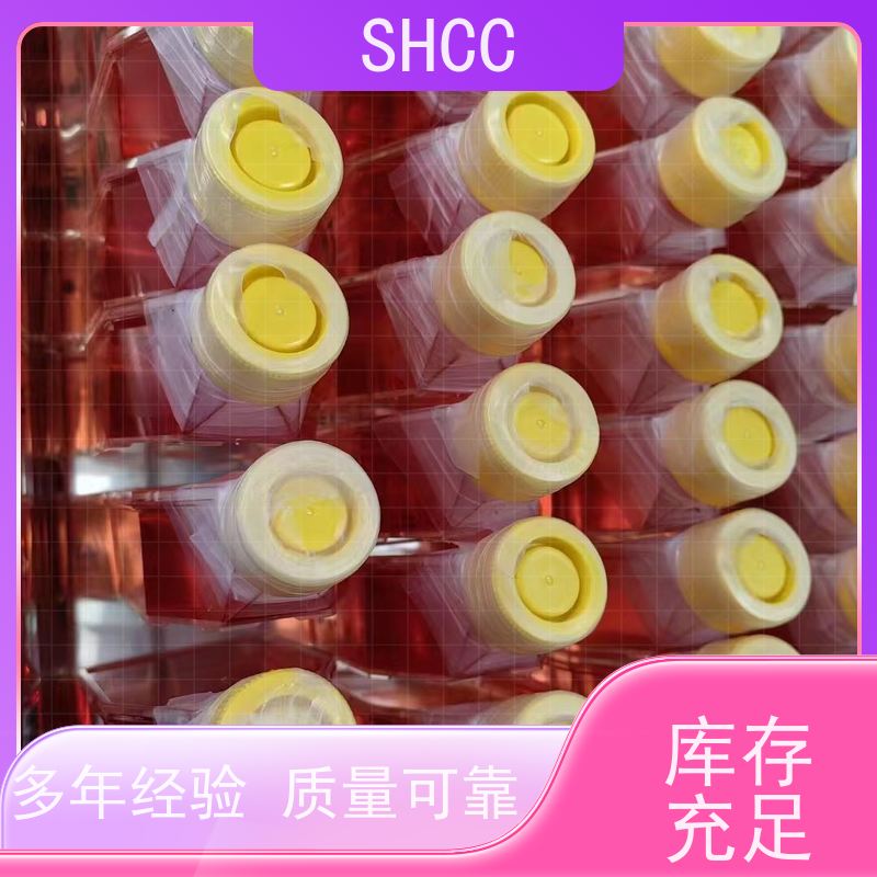 Wako外泌体提取试剂盒 MagCapture? Exosome Isolation Kit PS Ver.2