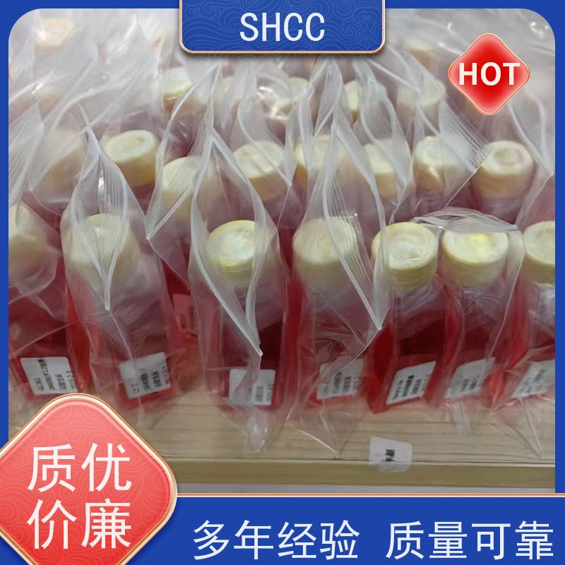 外泌体DNA提取试剂盒 艾普蒂品牌 aipudishengwu