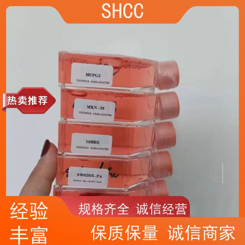 海克隆Hyclone澳洲胎牛血清FBS 澳大利亚血清进口 500mL SV30208.02