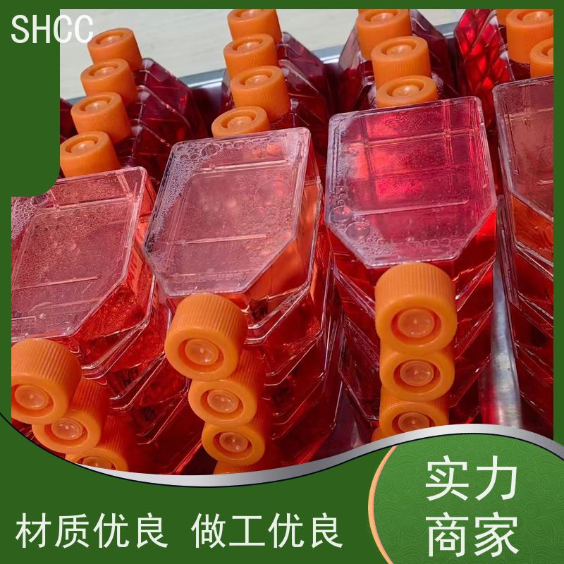 笃玛 羊血管内皮细胞生长因子(VEGF)ELISA试剂盒 宽检测范围