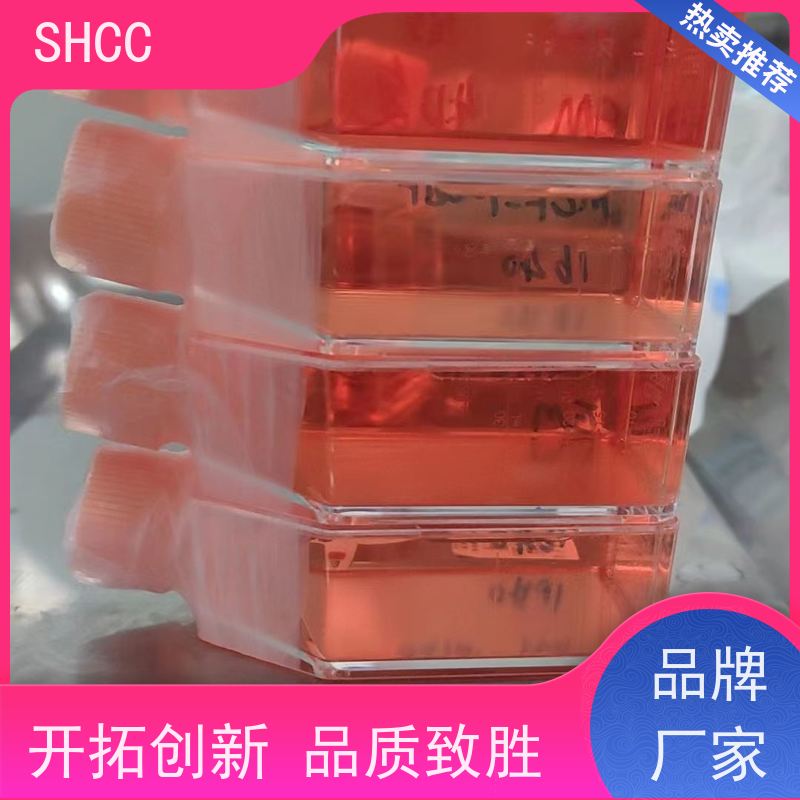原厂 全国包邮 大鼠成肌细胞 已通过STR鉴定提供报告 代数低 活性高
