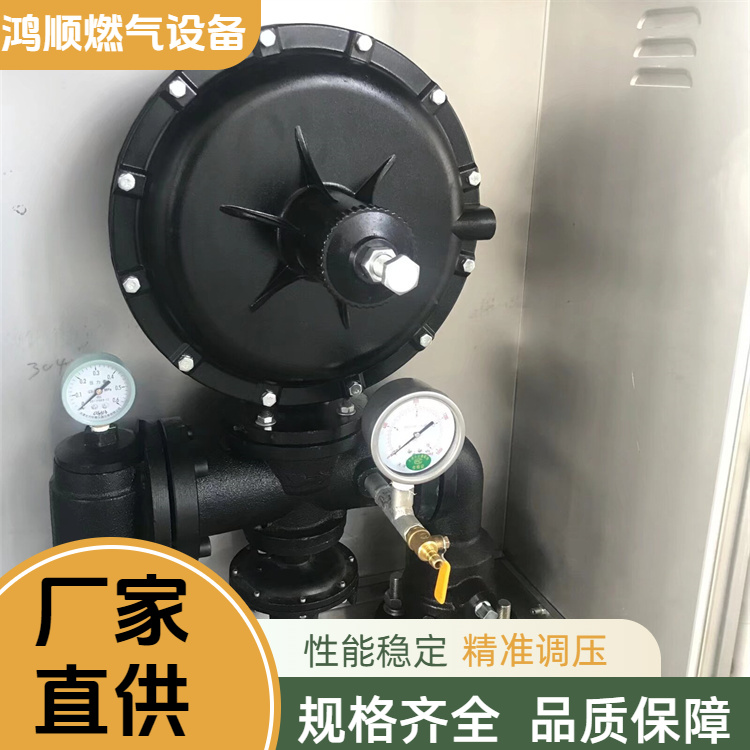 鸿顺 厂家供应 工业燃气调压箱 结构紧凑占地小 规格齐全
