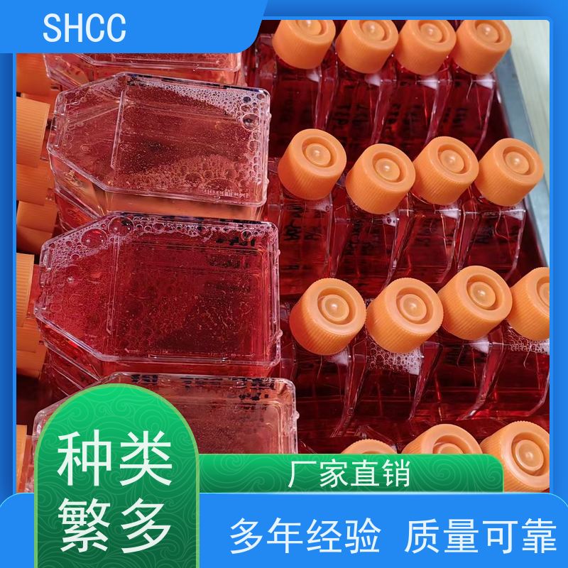 大鼠外泌体(Exosome)elisa试剂盒规格96T/48T