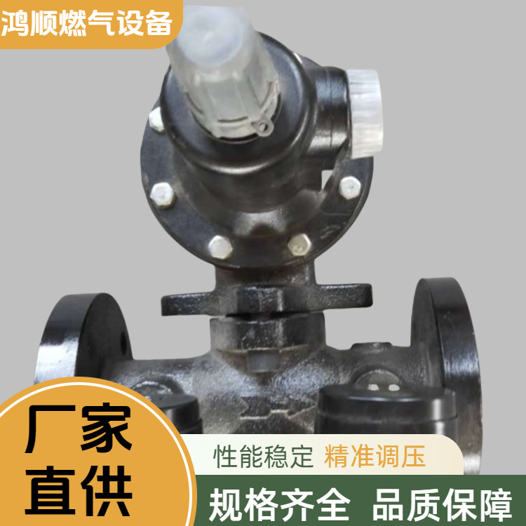 鸿顺 厂家供应 燃气调压器 结构紧凑占地小 按需定制