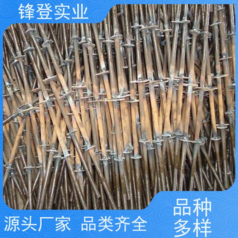 锋登实业 粗牙细牙可定制 高强度穿墙丝杆 对拉螺栓 地下管廊