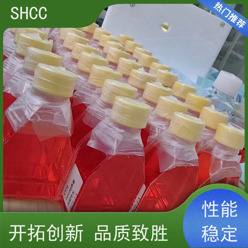 小鼠角膜基质细胞永生化细胞专用培养基仅供科学实验研究生物培养