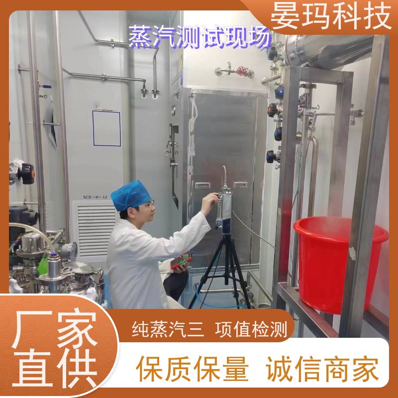  纯蒸汽品质检测仪 不凝气体 干度值 过热值测试 符合标准法规
