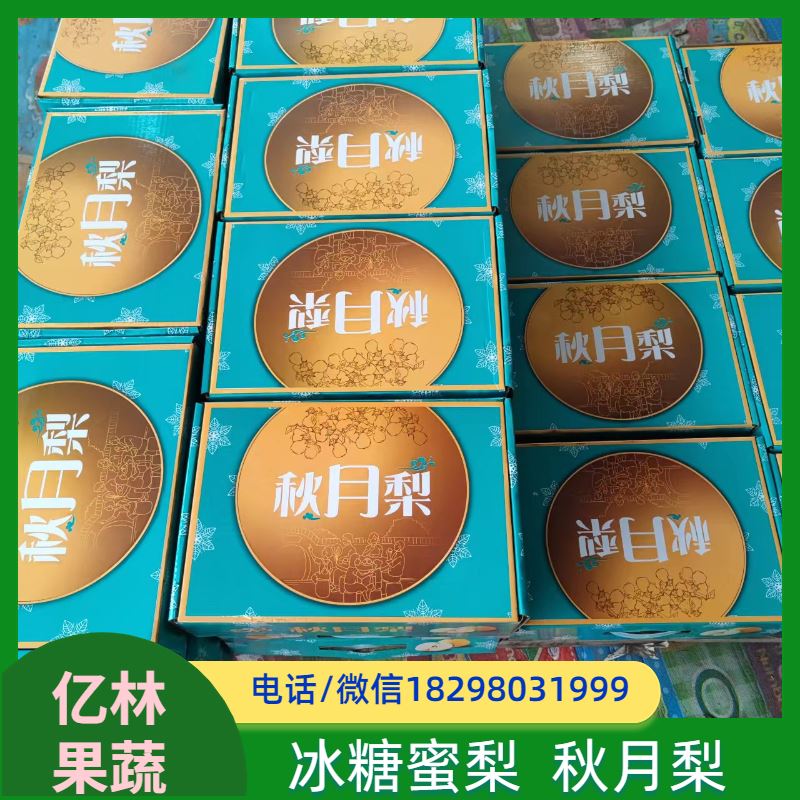 基地供应 成活率高 黄尊蜜梨 口感香甜 水晶梨树苗