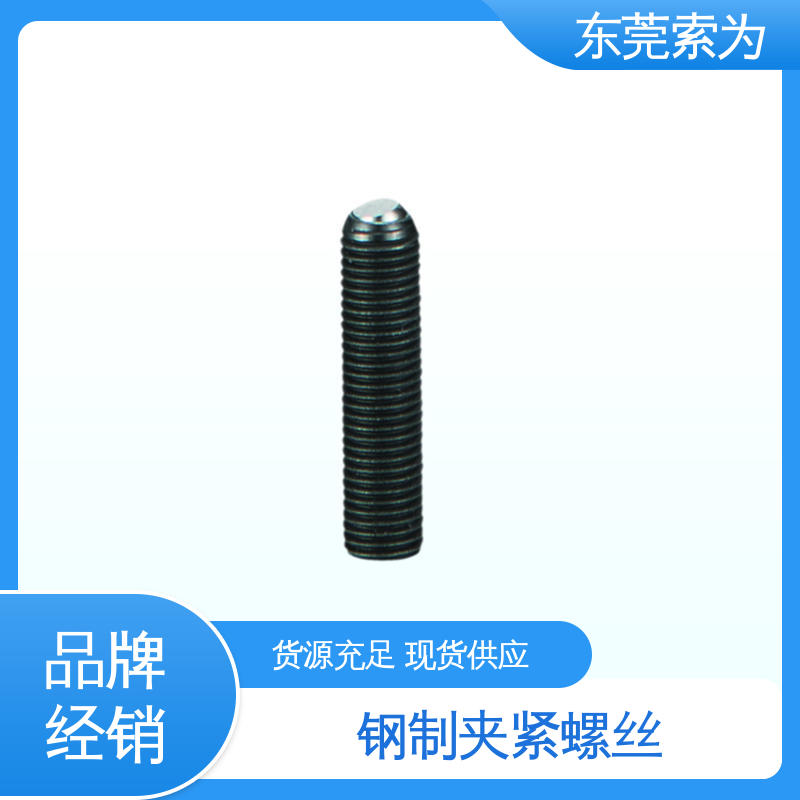 批发供应 SCS-F-F 钢球头夹紧螺丝 四氧化三铁保护膜 用于固定旋转体