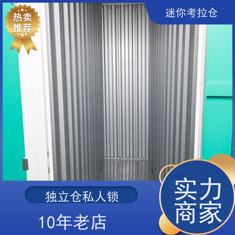 迷你考拉仓出租租赁温湿监测深圳物品寄存仓库