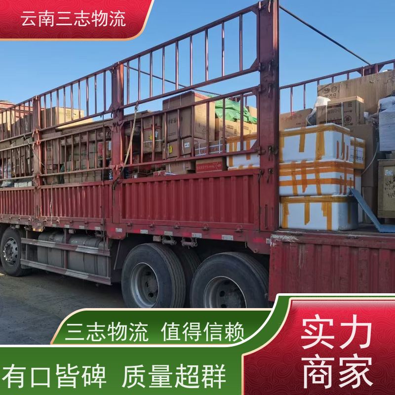昆明到阳江物流公司 全国派送直达不中转 准时达高效安全 三志运输