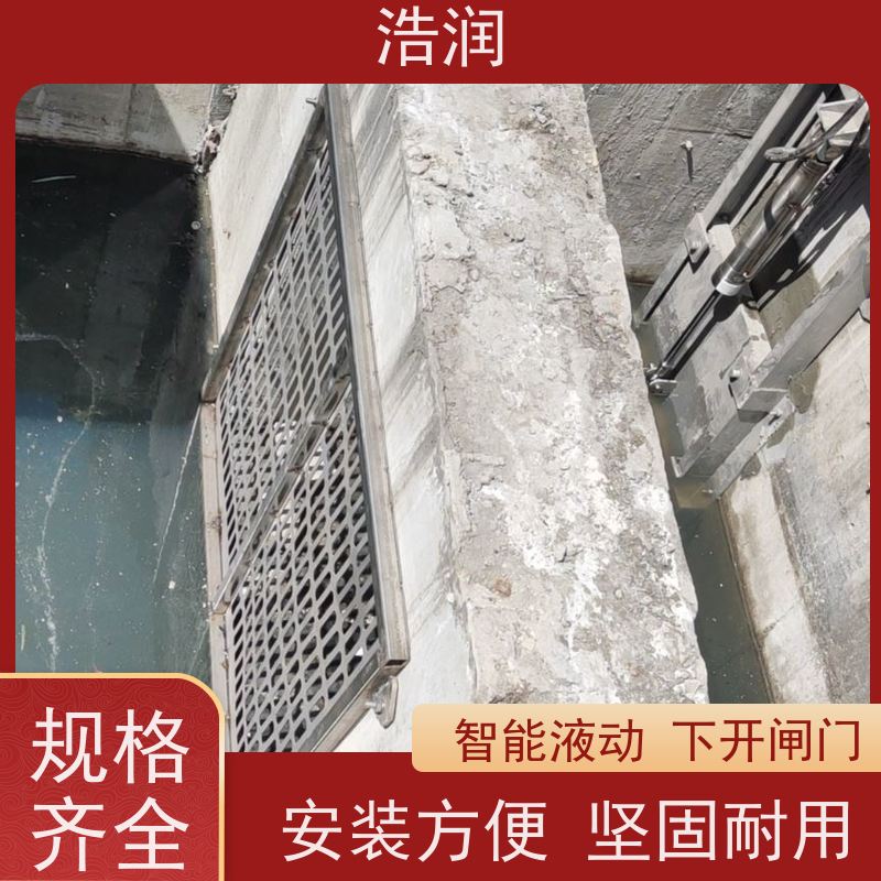 浩润 防倒灌闸门井 雨污分流 智能截流 诚信经营