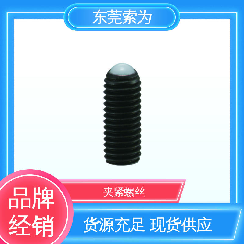 批发供应 SCS-F 夹紧螺丝 四氧化三铁保护膜 品牌经销