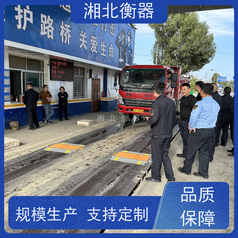 津利朗 30吨-80吨汽车轮轴仪 可移动便携式轴重仪 按需定制