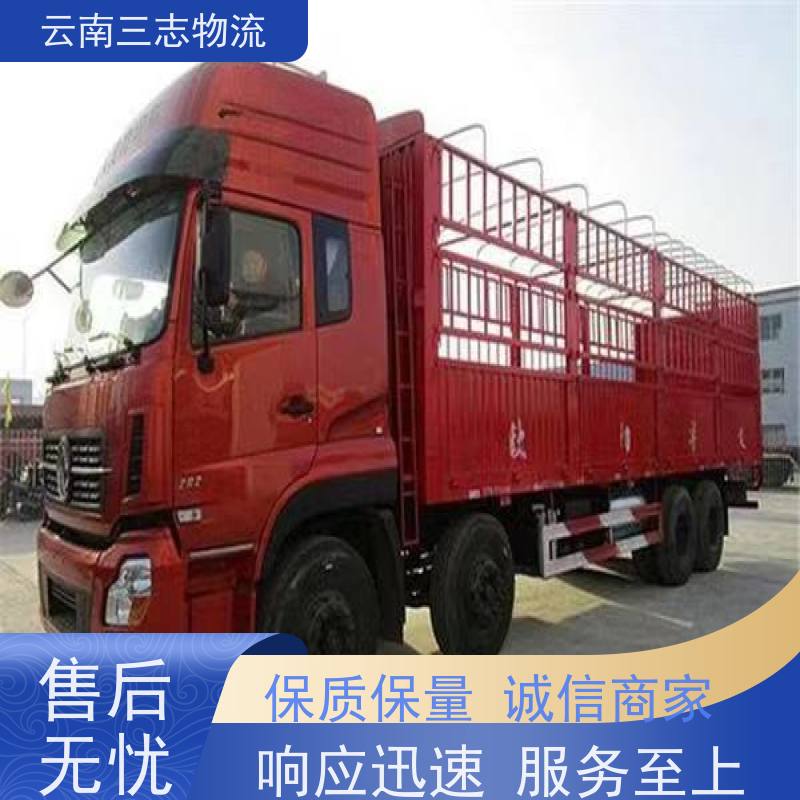 云南昆明到湘潭物流公司 整车零担 准时达高效安全 三志运输