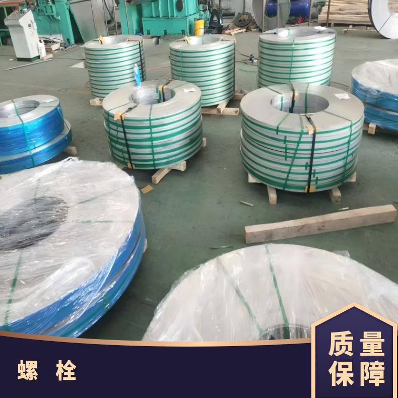 N13021螺柱N10002合金钢带非标尺寸 国标定做