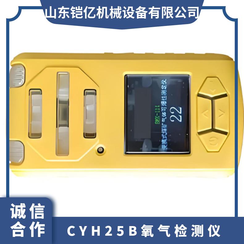 CYH25B氧气检测仪 便携式声光报警仪 数字显示