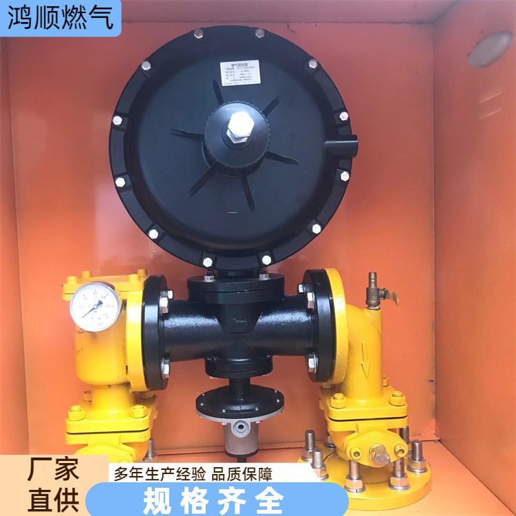 鸿顺 厂家 燃气调压箱 性能稳定易安装 按需定制
