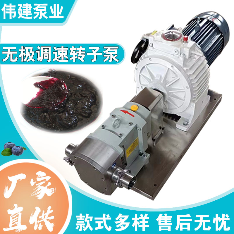 伟建定制 鲅鱼馅灌装机 304/316不锈钢材质 节能设计 运行噪音小