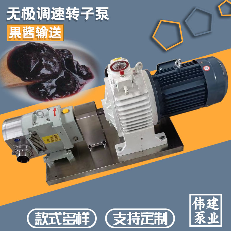 防漏设计 304/316不锈钢材质 鲅鱼馅灌装泵 稳定推送 伟建定制
