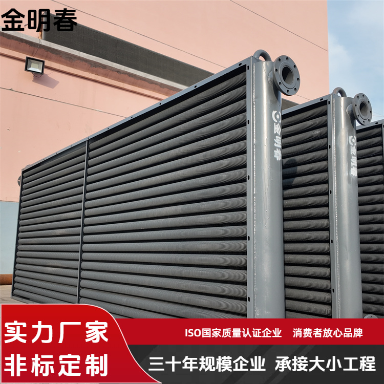 金明春 厂家 翅片管换热器 重量轻易运输 支持定制