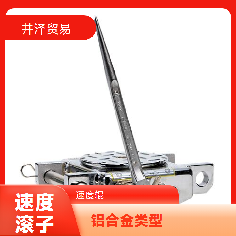 日本进口DAIKI大机速度滚子DUW-3PK 代理经销 品质优越