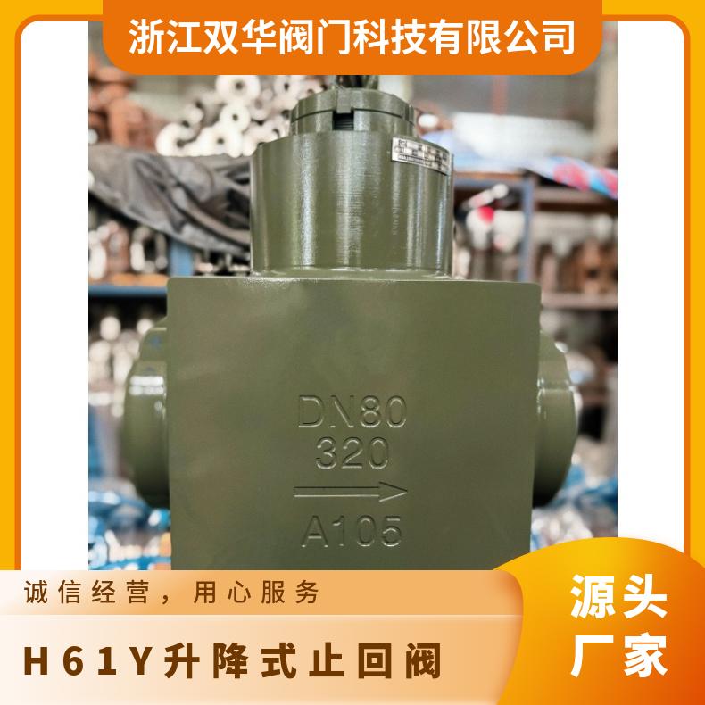 高压磅级止回阀 H61Y 国标 美标 锻钢升降式电站阀 双华阀门