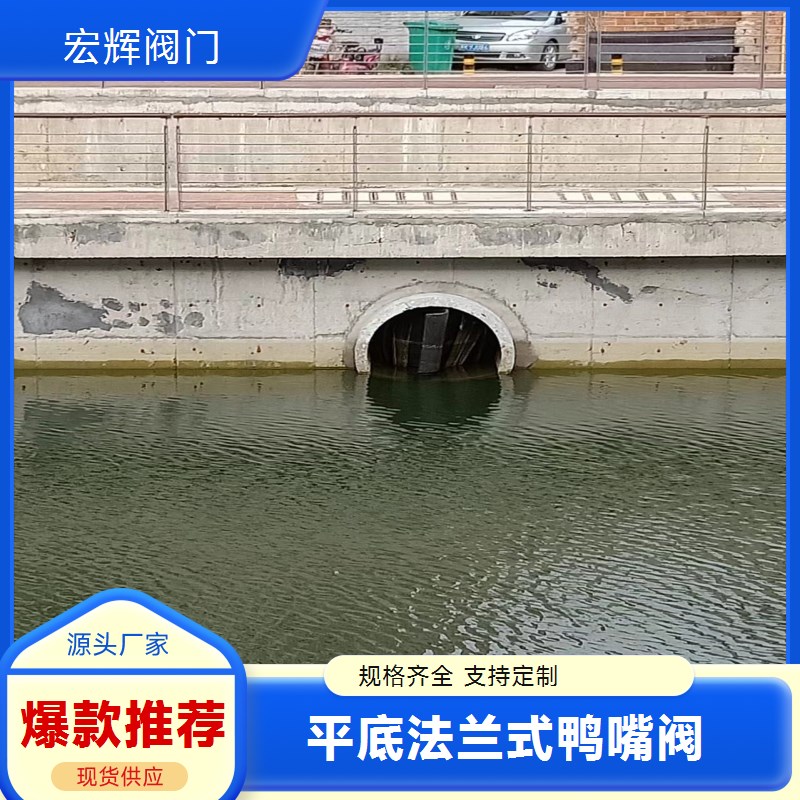 鸭嘴阀 防杂物堵塞 通流好 屠宰场废水排放管道专用阀门