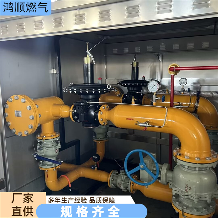 鸿顺 厂家 RX800燃气调压柜 性能稳定易安装 规格齐全