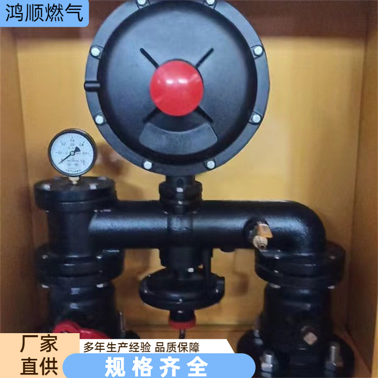 鸿顺 厂家供应 工业燃气调压箱 后期维护方便成本低 规格齐全