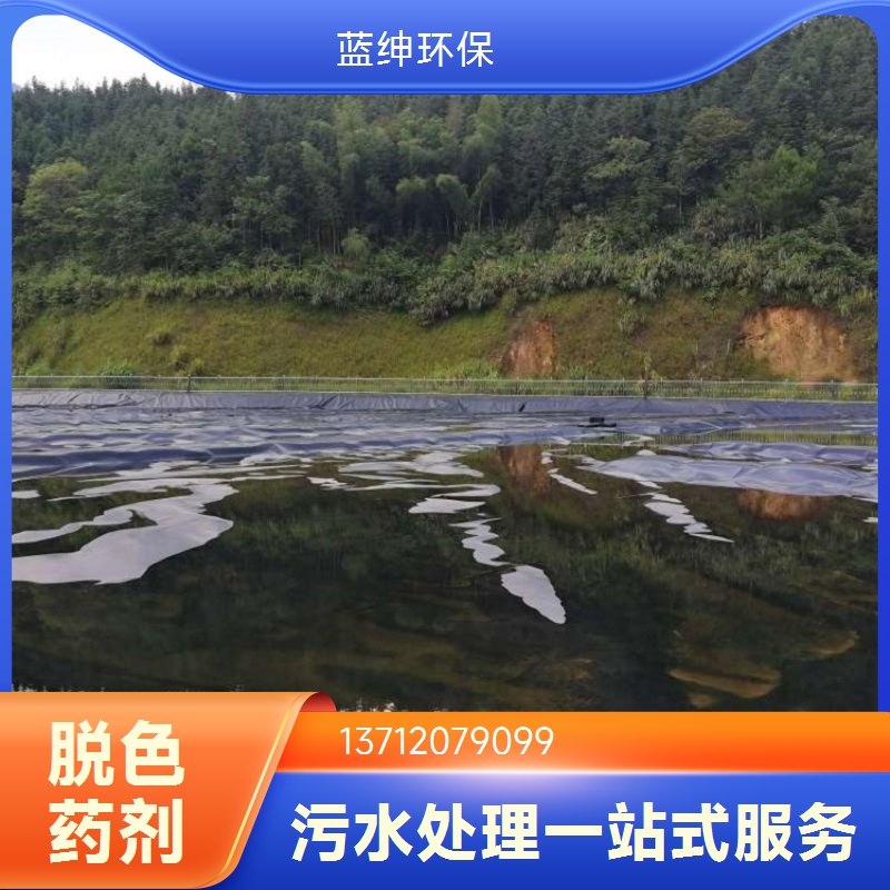 染料厂适用 出水干净 脱色剂 按需定制 蓝绅环保
